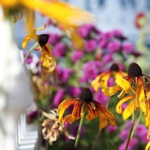 Meet your Posher, Teresa